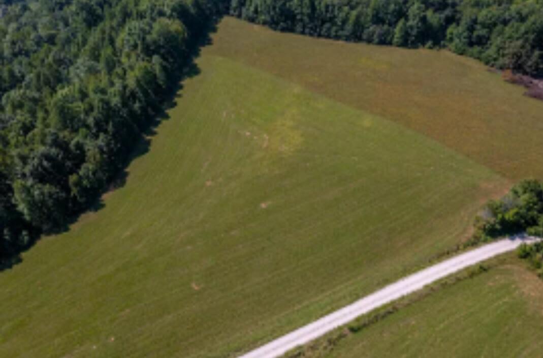 Tbd Boone Ridge Road Garrison, KY 41141 - Photo 5 of 10 9109