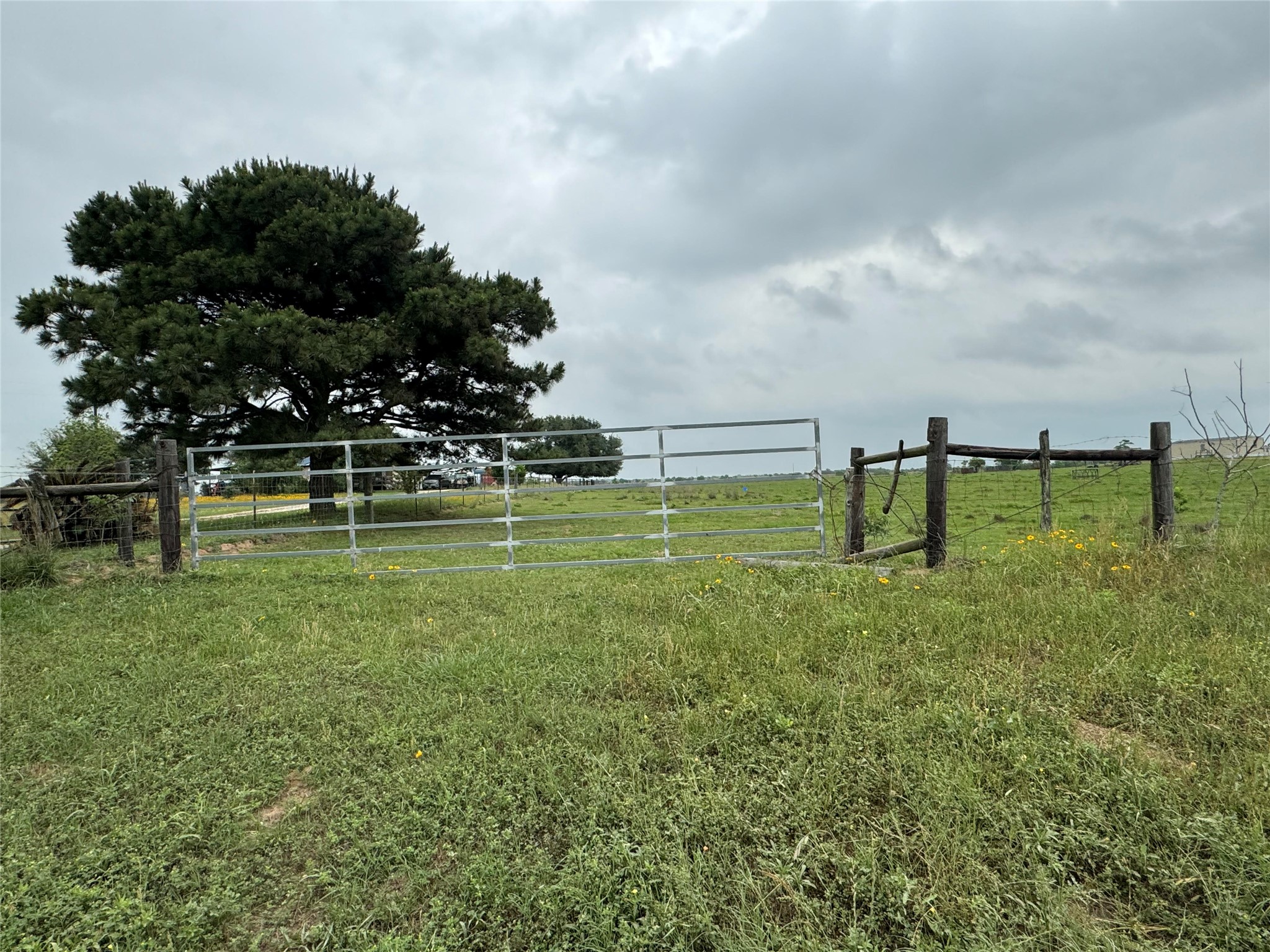 5848 Mieth Road Sealy, TX 77474 - Photo 15 of 25