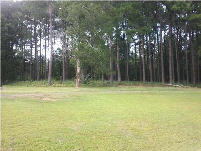 114 Ingram Road Mize, MS 39116 - Photo 3 of 4 Photo 3