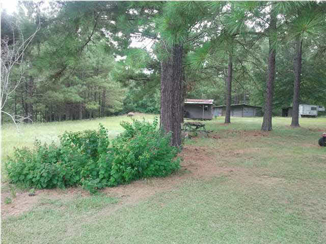 114 Ingram Road Mize, MS 39116 - Photo 4 of 4 Photo 5