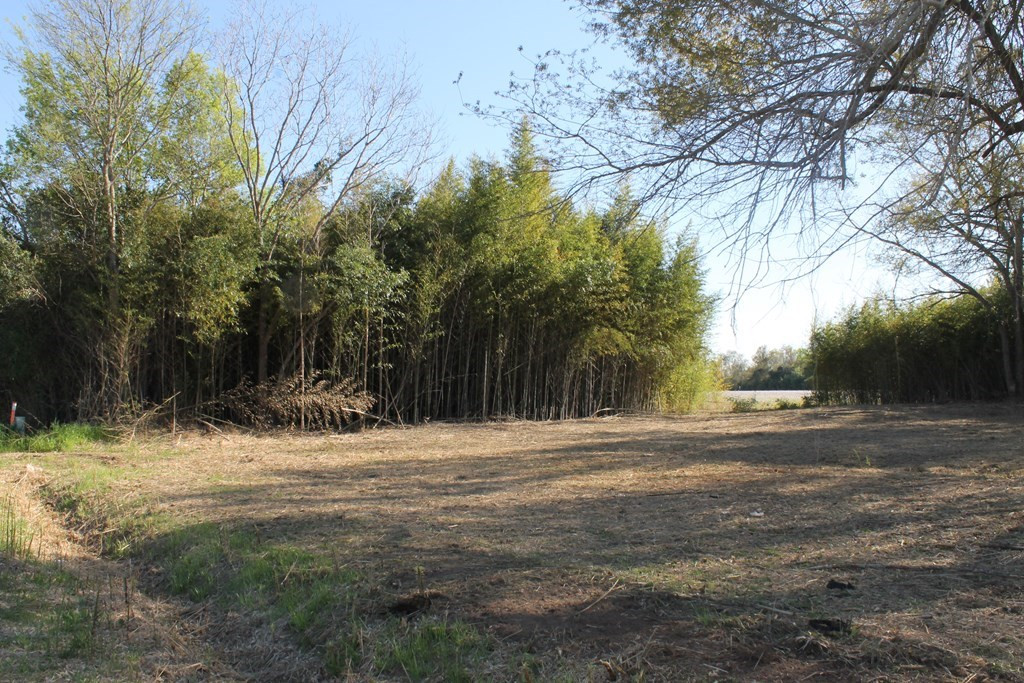 0 Festival Trail Road Springfield, SC 29146 - Photo 2 of 7