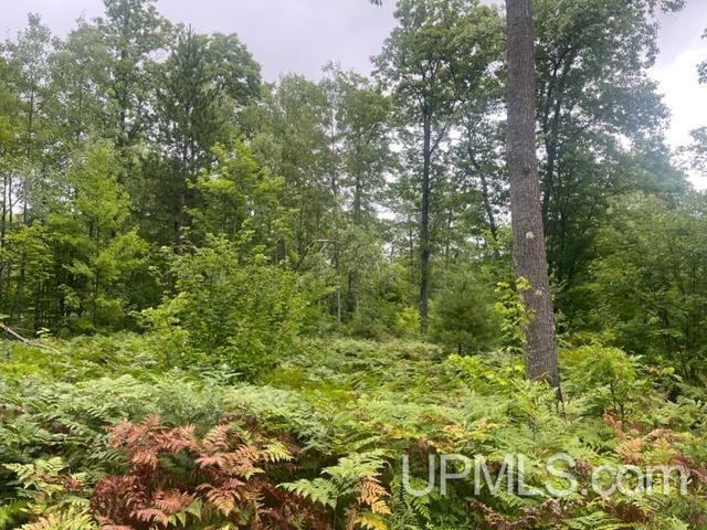 565 County Road 565 Road Gwinn, MI 49841 - Photo 21 of 35