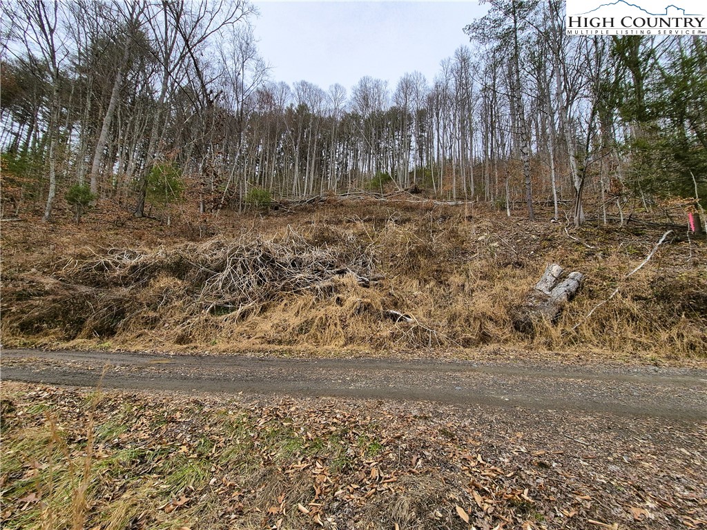 Riverside Lane Crumpler, NC 28617 - Photo 2 of 10