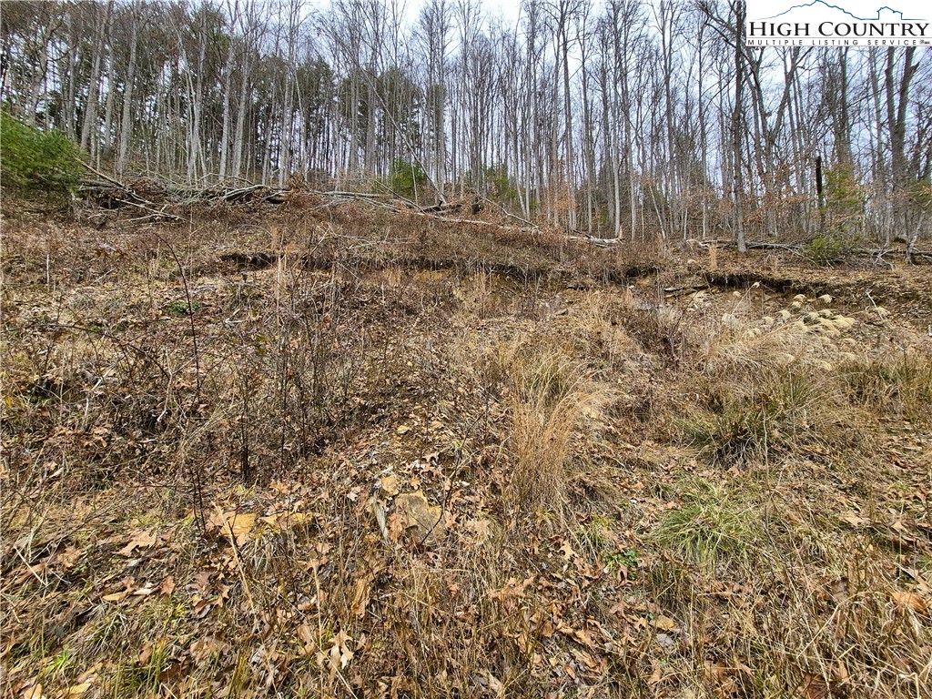 Riverside Lane Crumpler, NC 28617 - Photo 3 of 10