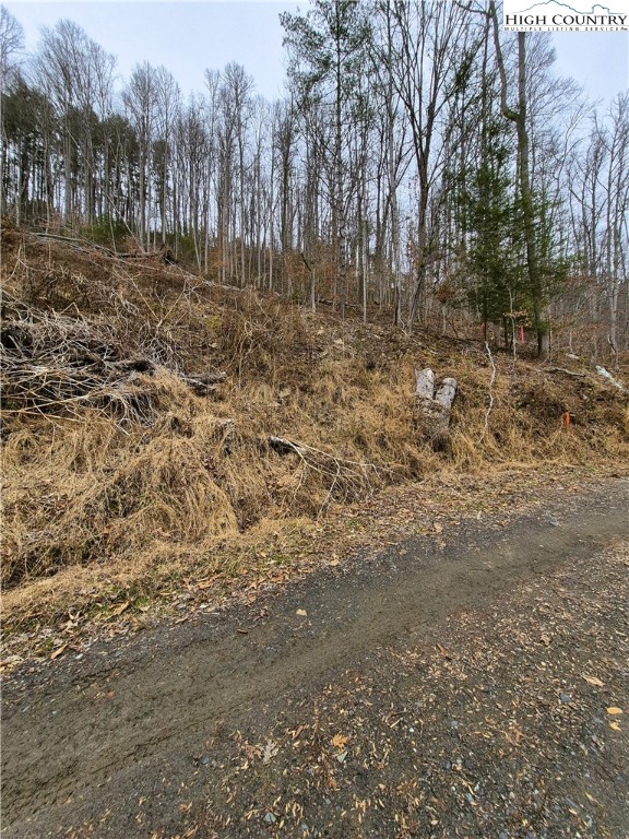 Riverside Lane Crumpler, NC 28617 - Photo 4 of 10