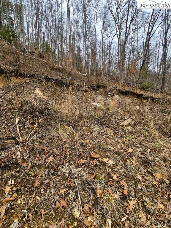 Riverside Lane Crumpler, NC 28617 - Photo 5 of 10