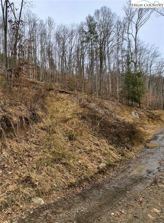 Riverside Lane Crumpler, NC 28617 - Photo 7 of 10