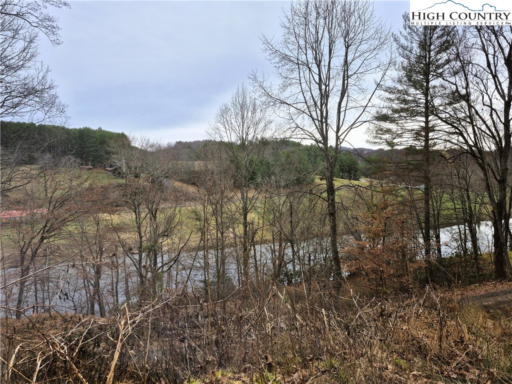 Riverside Lane Crumpler, NC 28617 - Photo 8 of 10