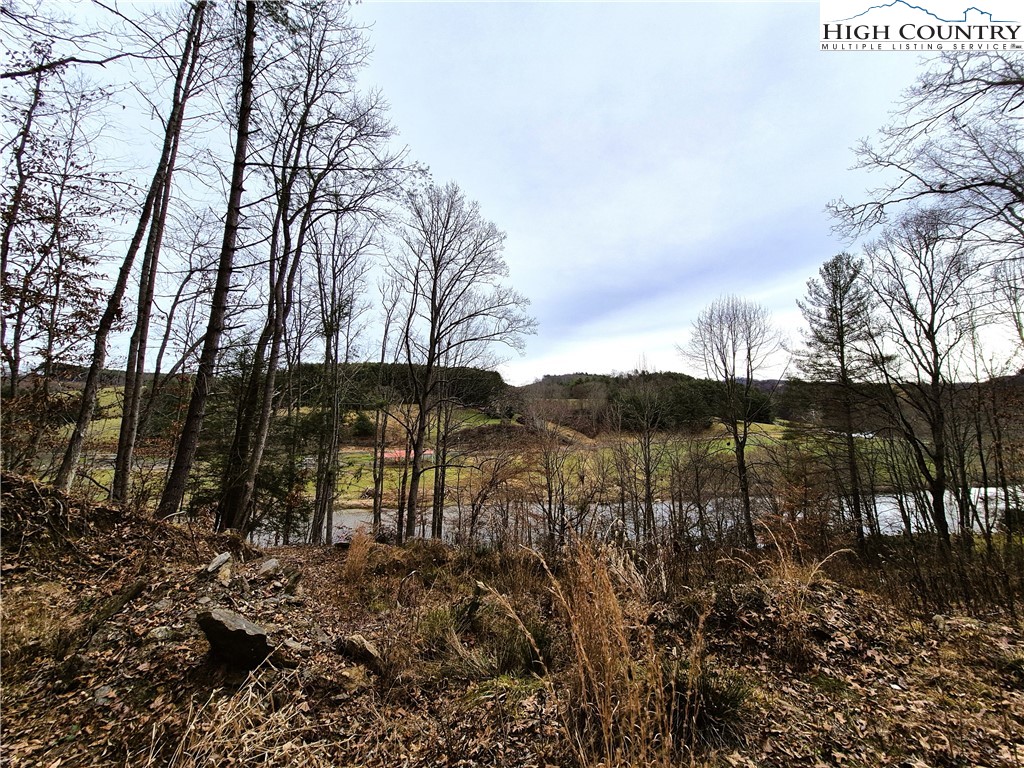 Riverside Lane Crumpler, NC 28617 - Photo 10 of 10