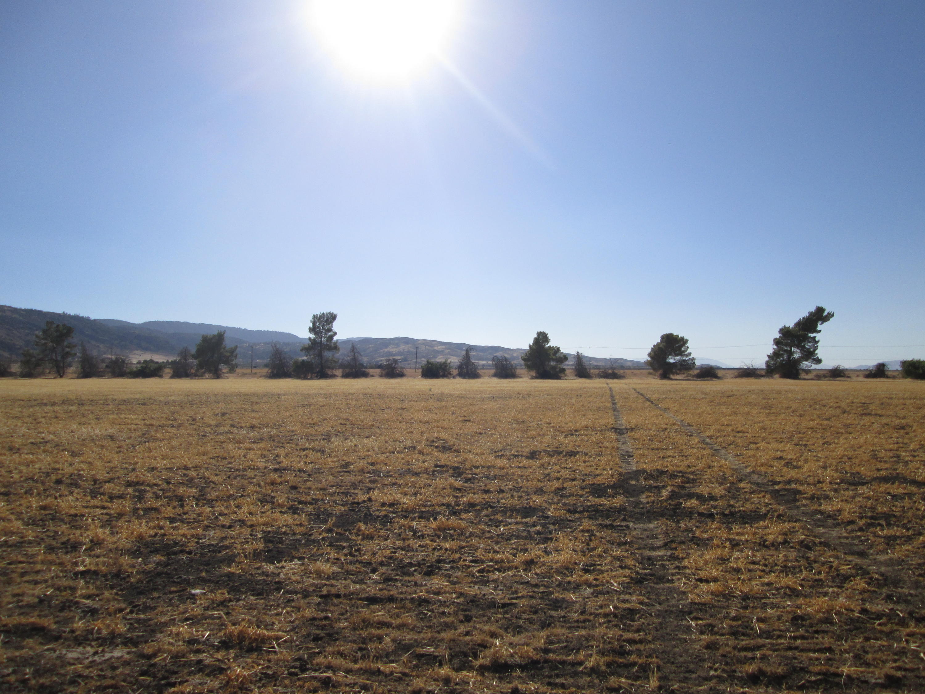 Lancaster Road West Lancaster, CA 93536 - Photo 12 of 20 IMG_1498