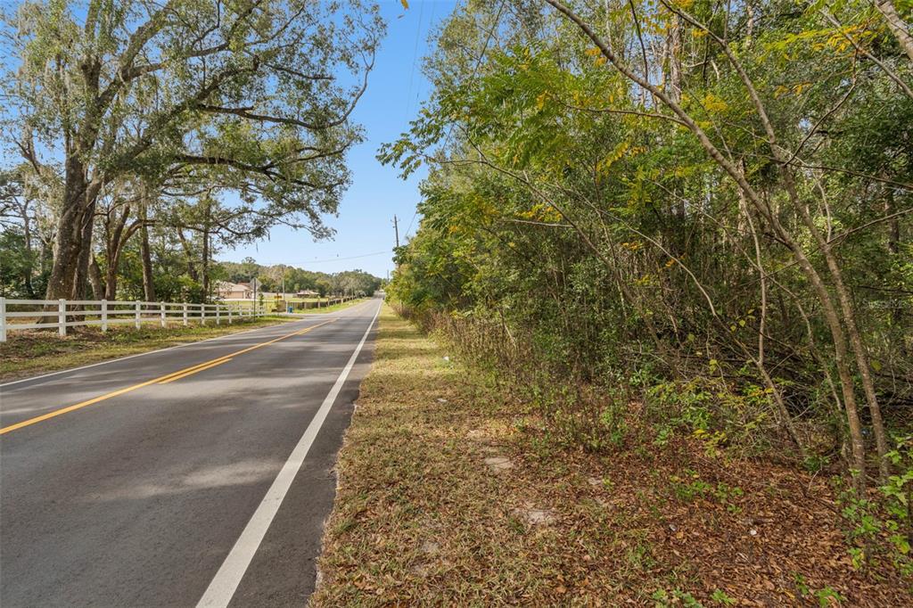Centennial Road Dade City, FL 33525 - Photo 17 of 21 a view of a yard with an trees