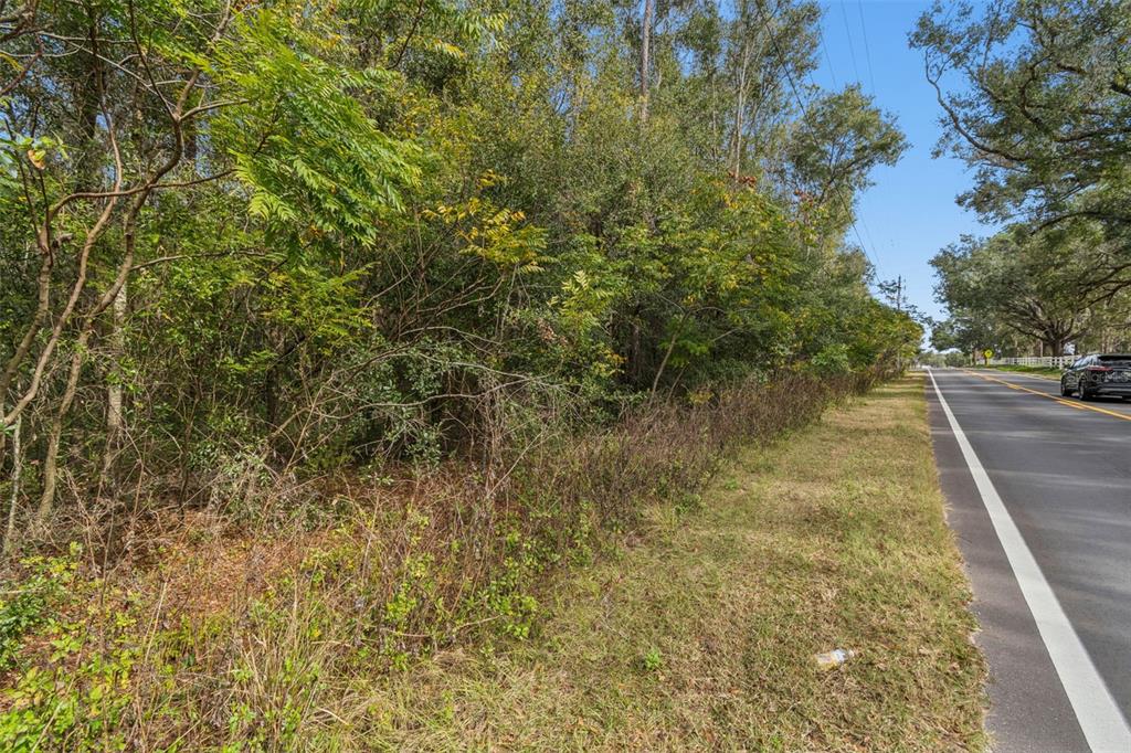 Centennial Road Dade City, FL 33525 - Photo 18 of 21 a view of a yard