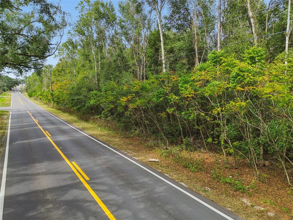 Centennial Road Dade City, FL 33525 - Photo 3 of 21 a view of swimming pool with a large trees and plants