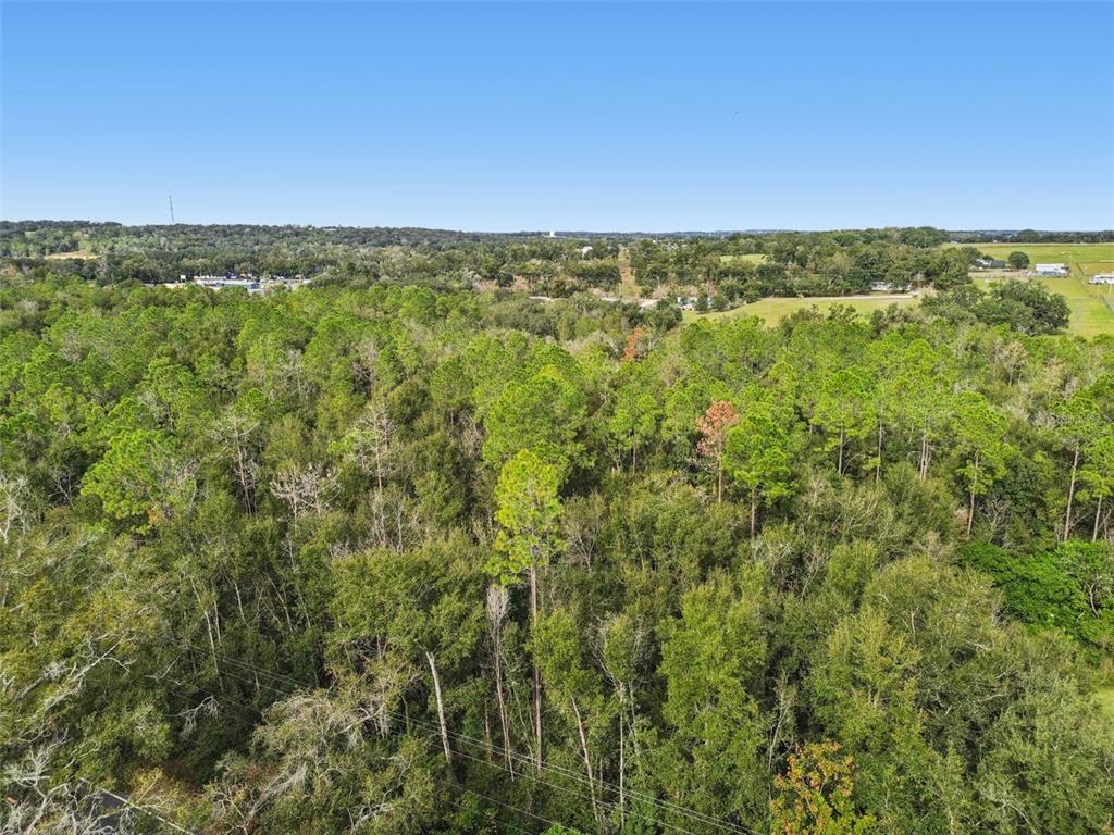 Centennial Road Dade City, FL 33525 - Photo 4 of 21 a view of an ocean