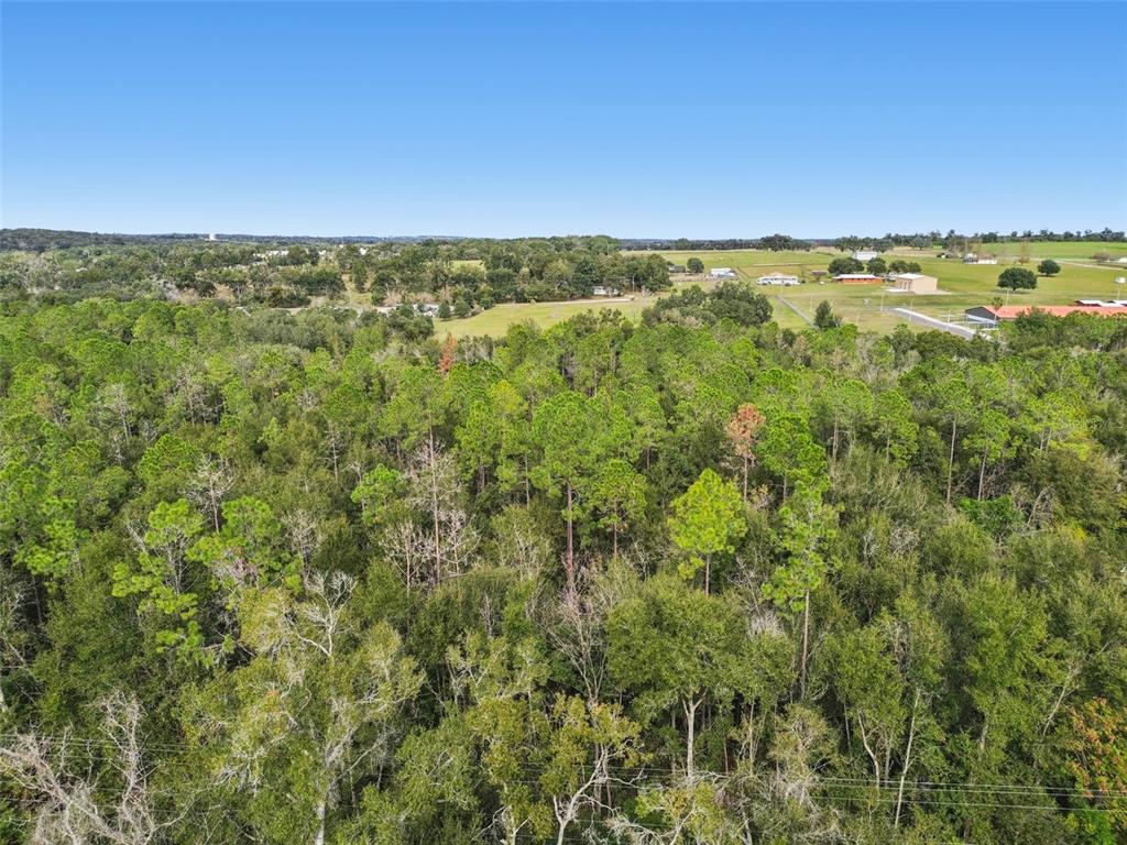 Centennial Road Dade City, FL 33525 - Photo 5 of 21 a view of an ocean