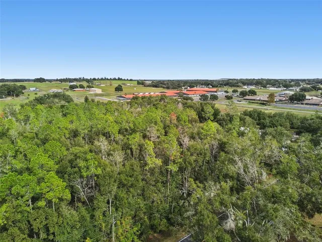a view of a city with lush green forest
