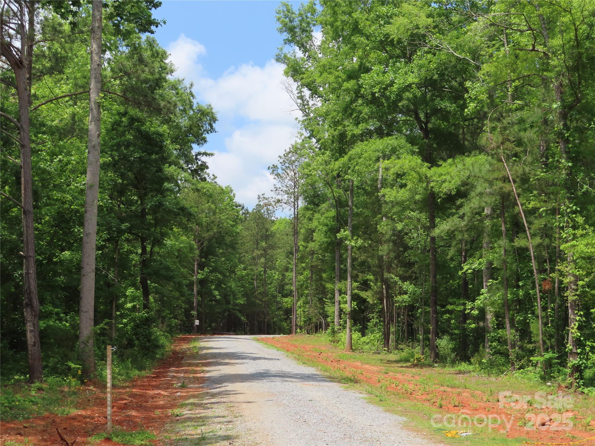 2099 Cedar Road York, SC 29745 - Photo 3 of 37 a backyard of a house with lots of green space