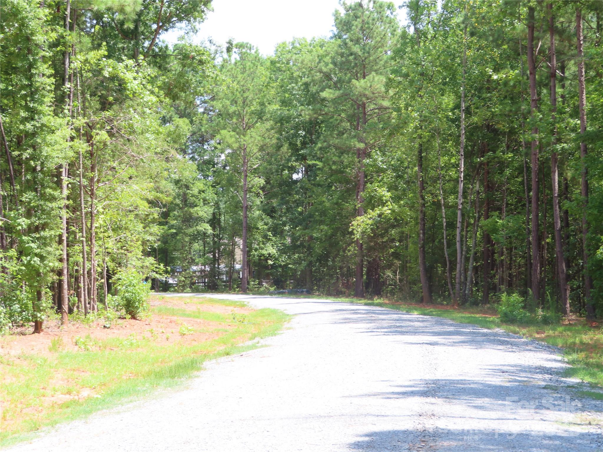 2099 Cedar Road York, SC 29745 - Photo 4 of 37 a view of swimming pool and trees in the background