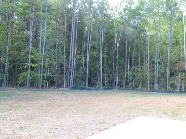 a view of a room with trees and a wooden fence