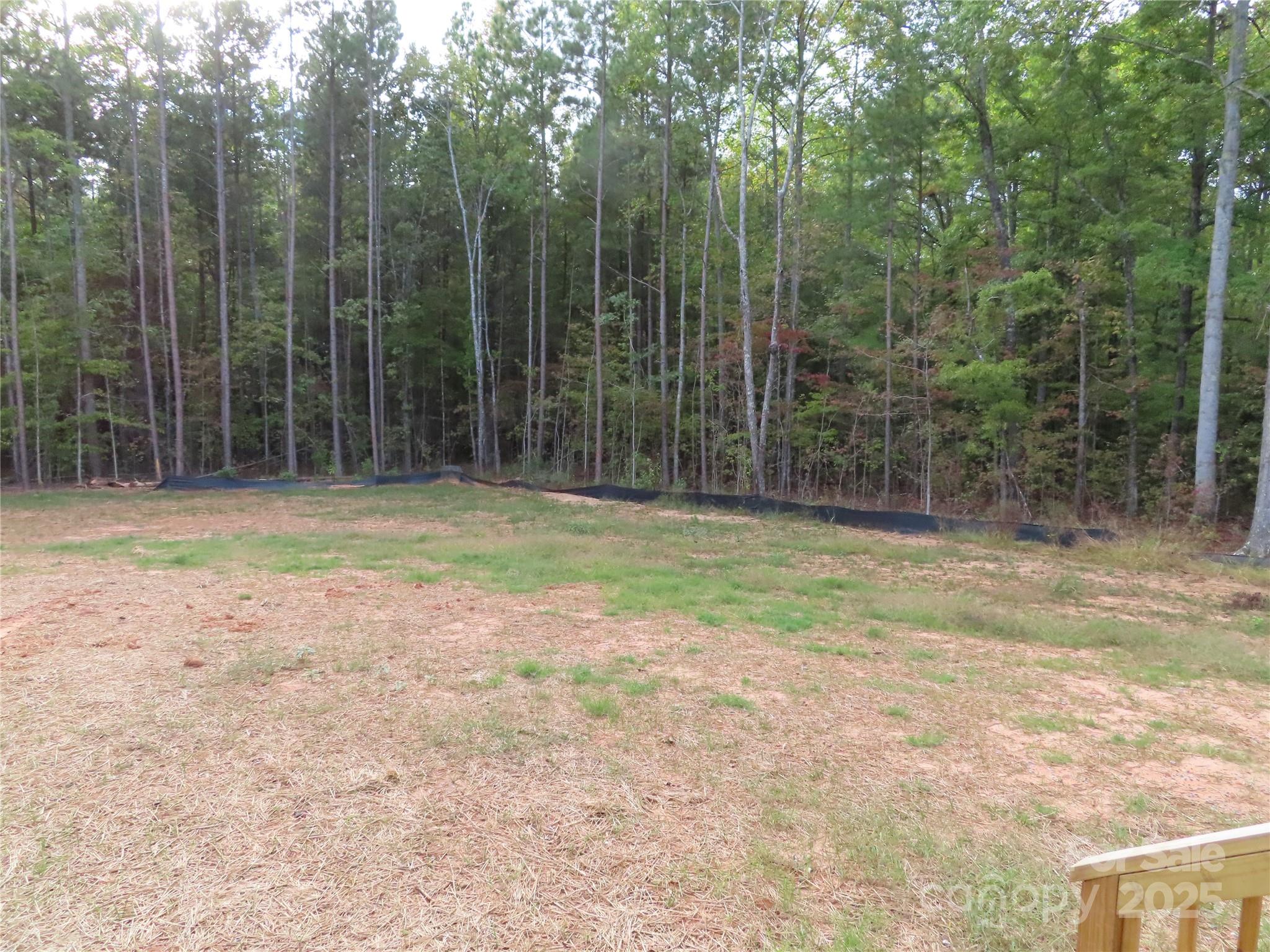 2099 Cedar Road York, SC 29745 - Photo 7 of 37 a view of a yard with large trees