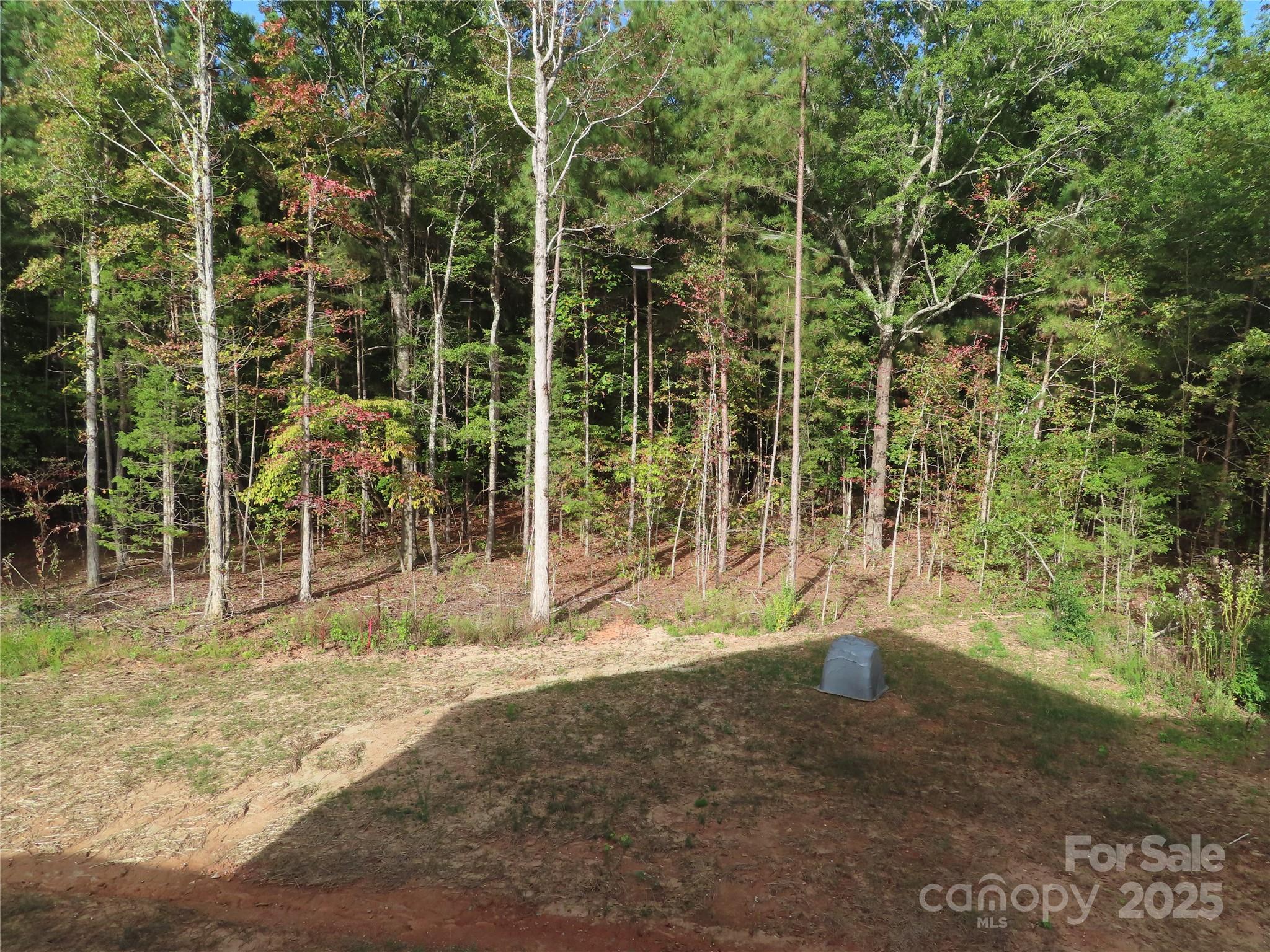 2099 Cedar Road York, SC 29745 - Photo 8 of 37 a view of outdoor space with garden