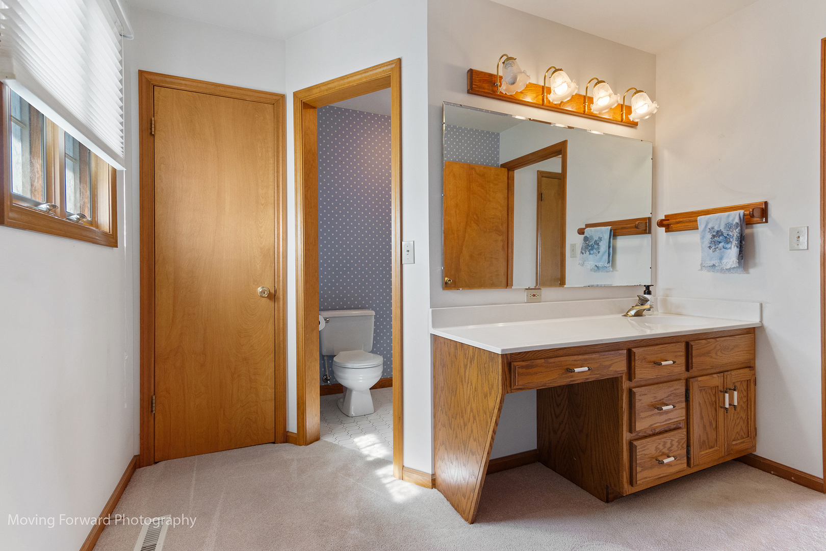 1645 East Southmor Road Morris, IL 60450 - Photo 13 of 39 a bathroom with a sink and a mirror