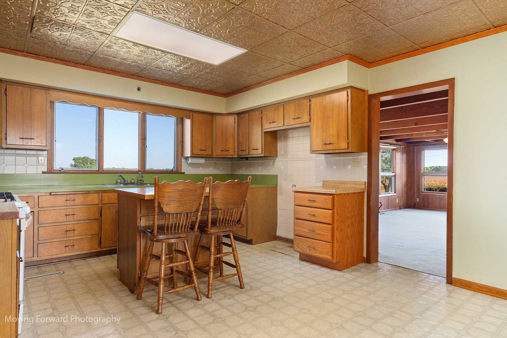 1645 East Southmor Road Morris, IL 60450 - Photo 8 of 39 a kitchen with cabinets a sink and appliances