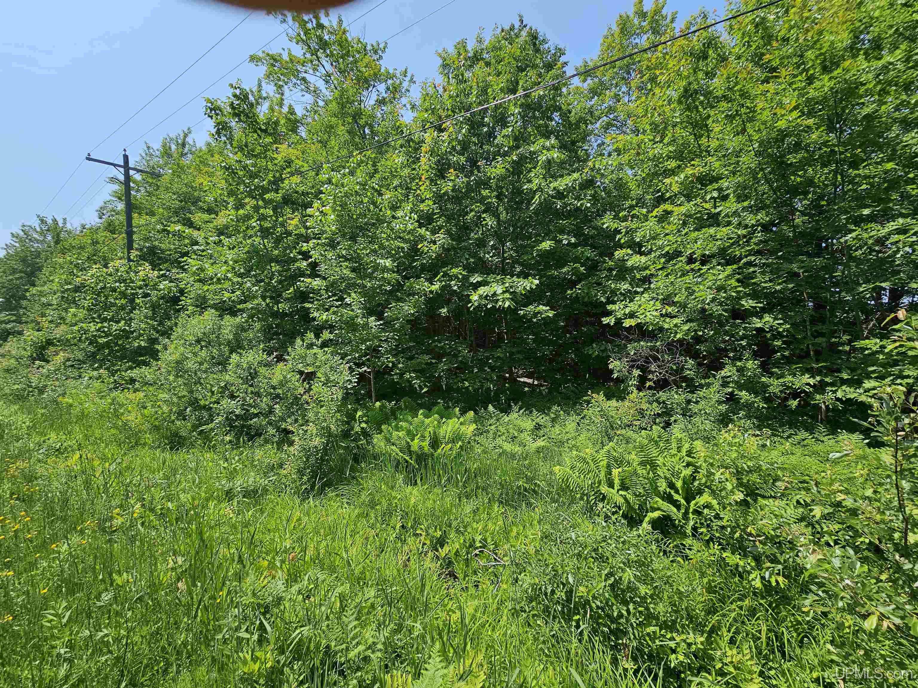 Tbd Pike River Road Chassell, MI 49916 - Photo 4 of 8