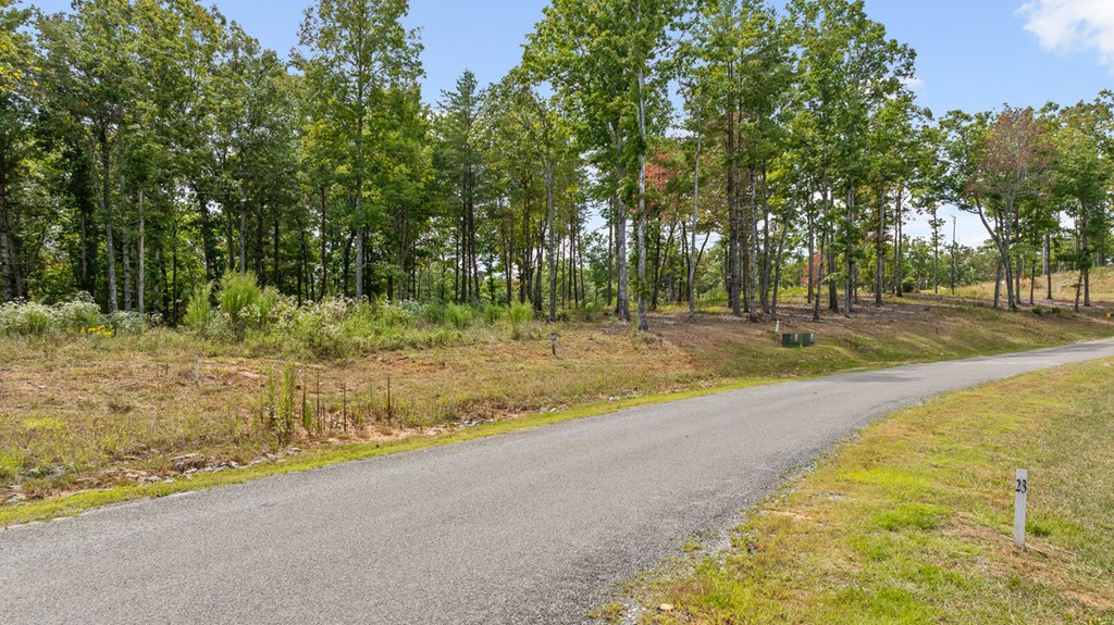Lot 161 Ridge Drive Morganton, GA 30560 - Photo 12 of 31 Gallery Image 12