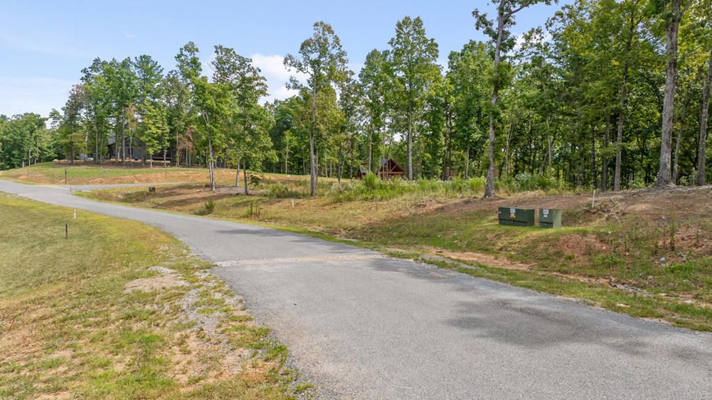 Lot 161 Ridge Drive Morganton, GA 30560 - Photo 13 of 31 Gallery Image 13