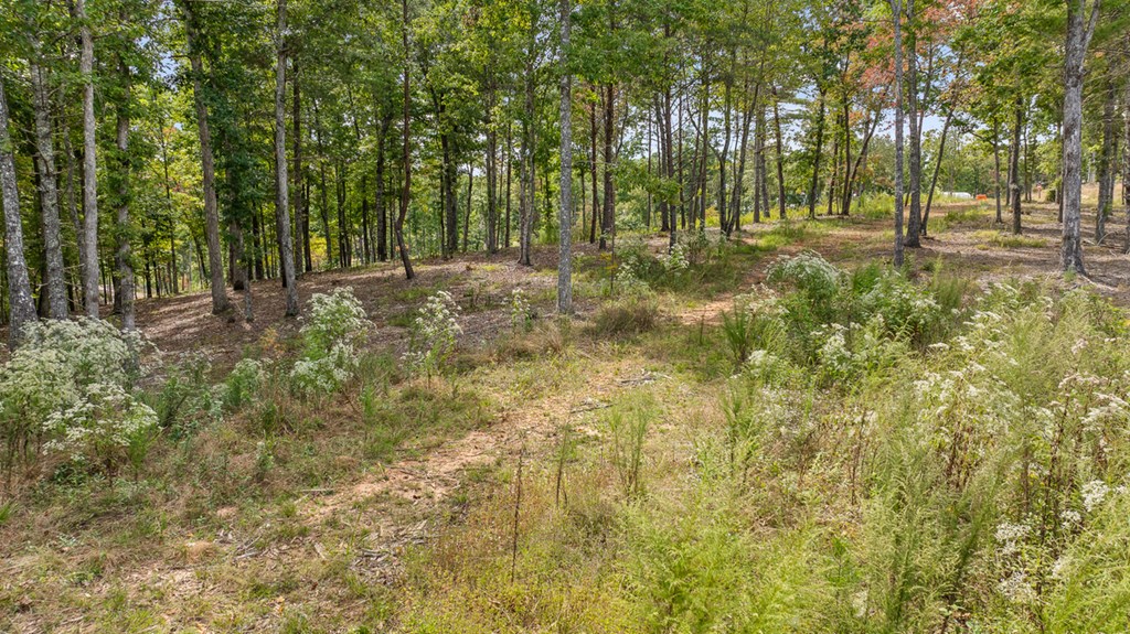 Lot 161 Ridge Drive Morganton, GA 30560 - Photo 15 of 31 Gallery Image 15