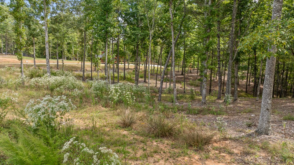 Lot 161 Ridge Drive Morganton, GA 30560 - Photo 16 of 31 Gallery Image 16