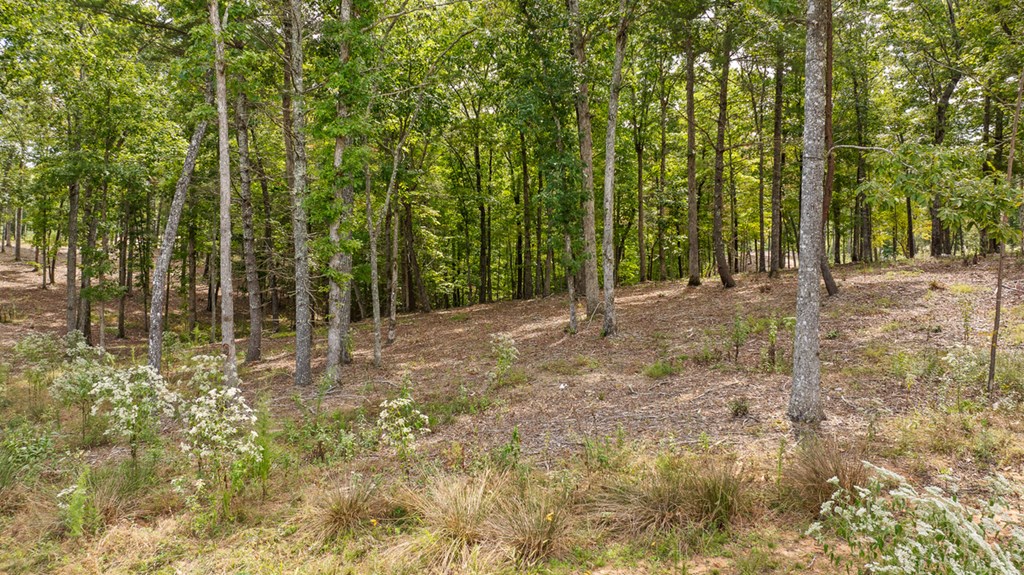 Lot 161 Ridge Drive Morganton, GA 30560 - Photo 17 of 31 Gallery Image 17