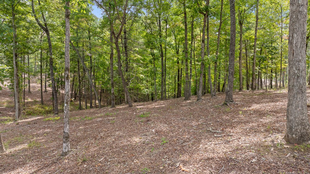 Lot 161 Ridge Drive Morganton, GA 30560 - Photo 18 of 31 Gallery Image 18