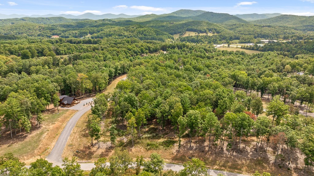 Lot 161 Ridge Drive Morganton, GA 30560 - Photo 2 of 31 Gallery Image 2