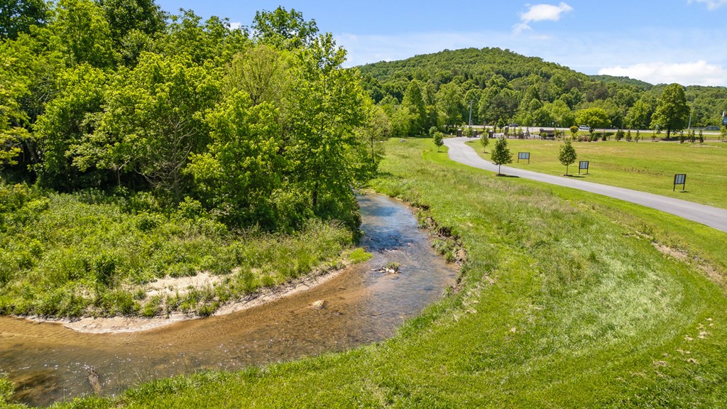 Lot 161 Ridge Drive Morganton, GA 30560 - Photo 28 of 31 Gallery Image 28