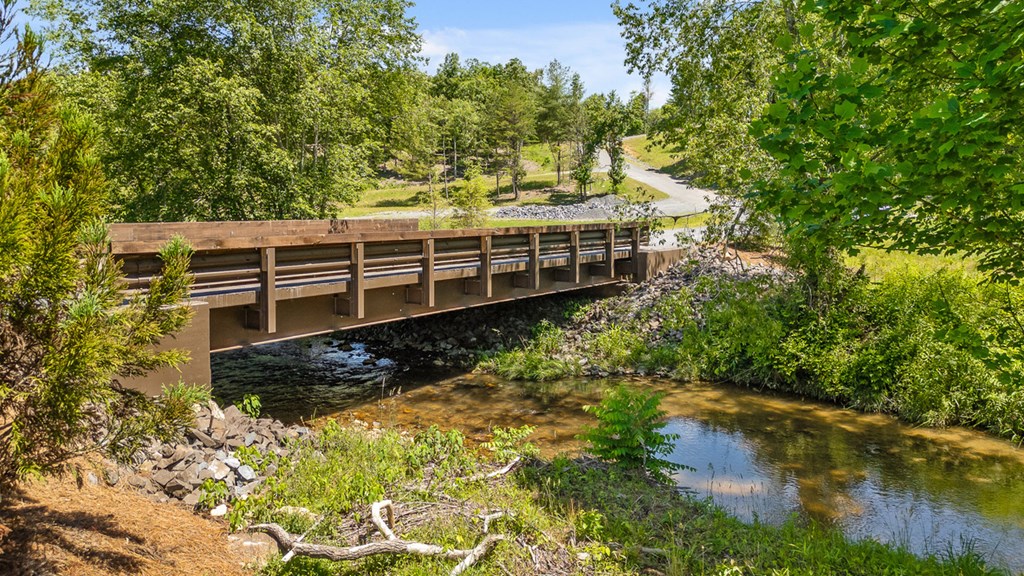 Lot 161 Ridge Drive Morganton, GA 30560 - Photo 29 of 31 Gallery Image 29