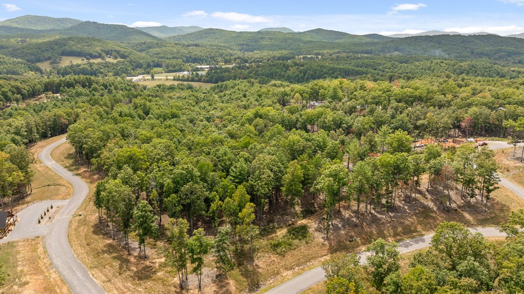Lot 161 Ridge Drive Morganton, GA 30560 - Photo 3 of 31 Gallery Image 3