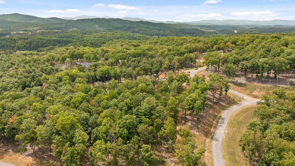Lot 161 Ridge Drive Morganton, GA 30560 - Photo 4 of 31 Gallery Image 4