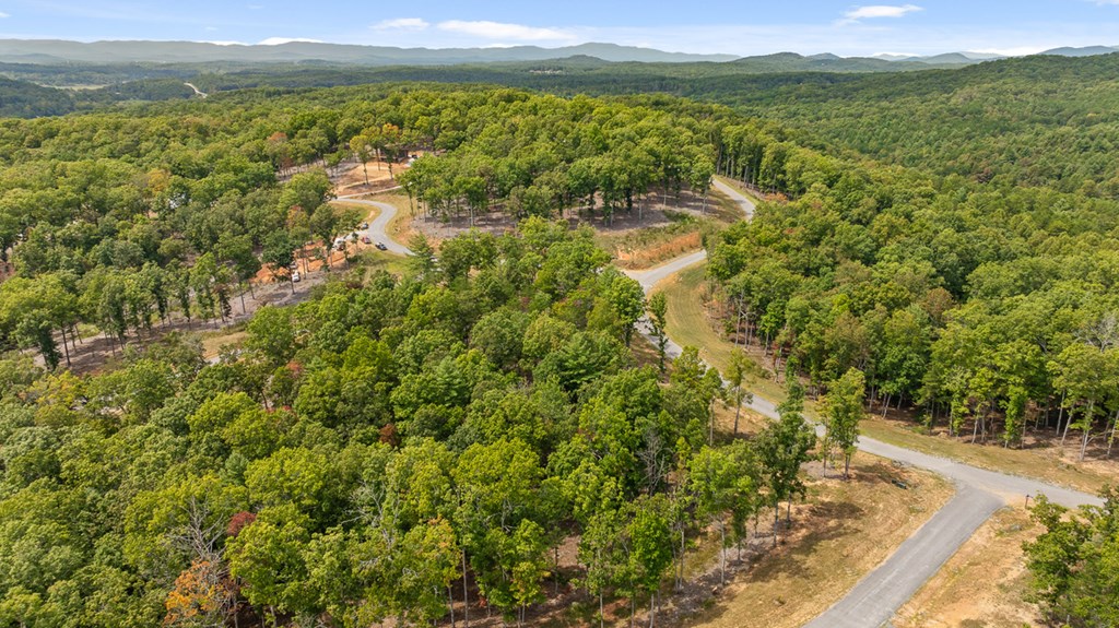 Lot 161 Ridge Drive Morganton, GA 30560 - Photo 5 of 31 Gallery Image 5