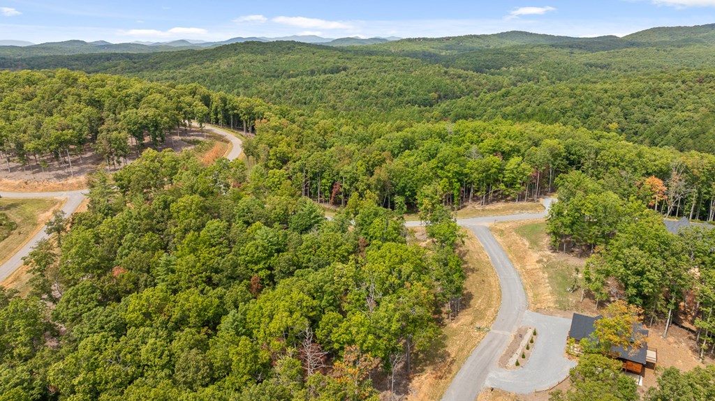 Lot 161 Ridge Drive Morganton, GA 30560 - Photo 6 of 31 Gallery Image 6