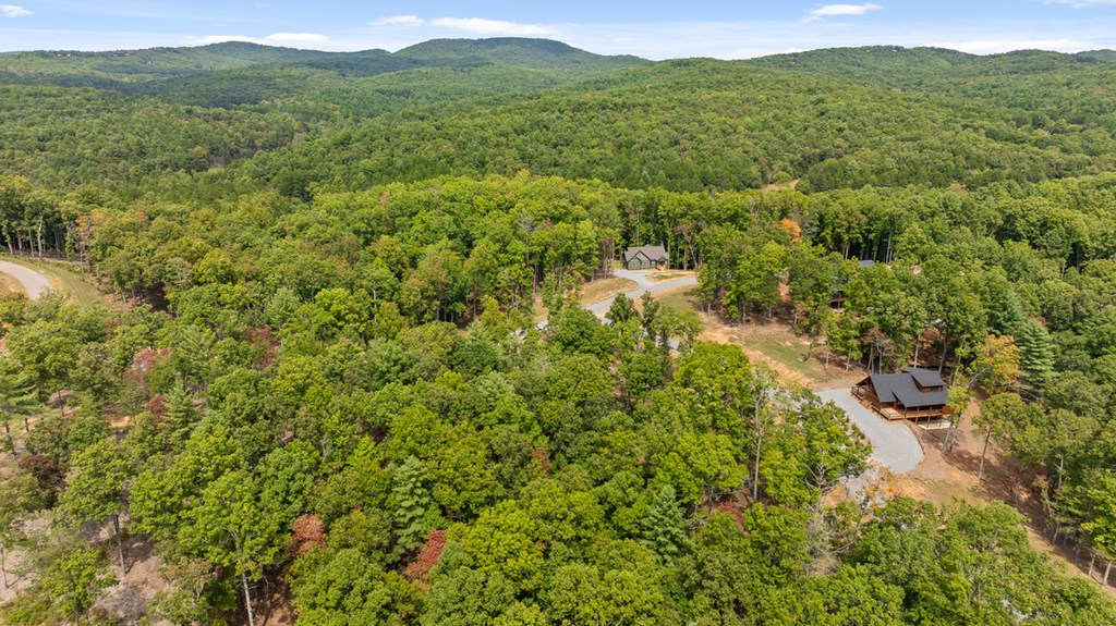 Lot 161 Ridge Drive Morganton, GA 30560 - Photo 7 of 31 Gallery Image 7