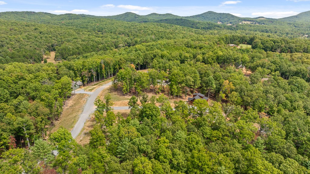 Lot 161 Ridge Drive Morganton, GA 30560 - Photo 8 of 31 Gallery Image 8