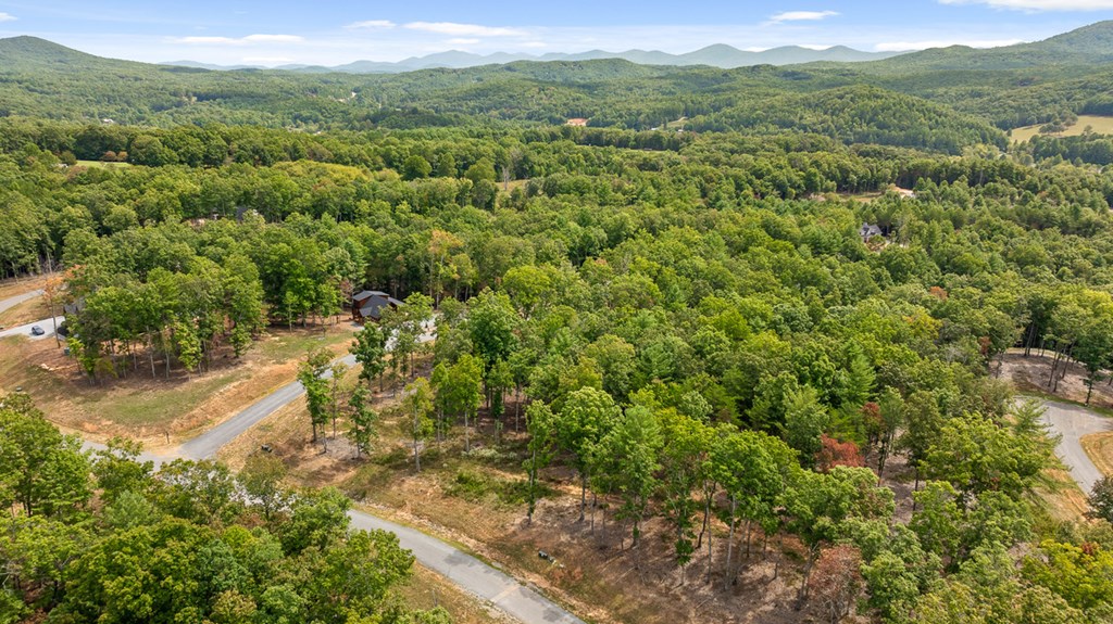 Lot 161 Ridge Drive Morganton, GA 30560 - Photo 9 of 31 Gallery Image 9
