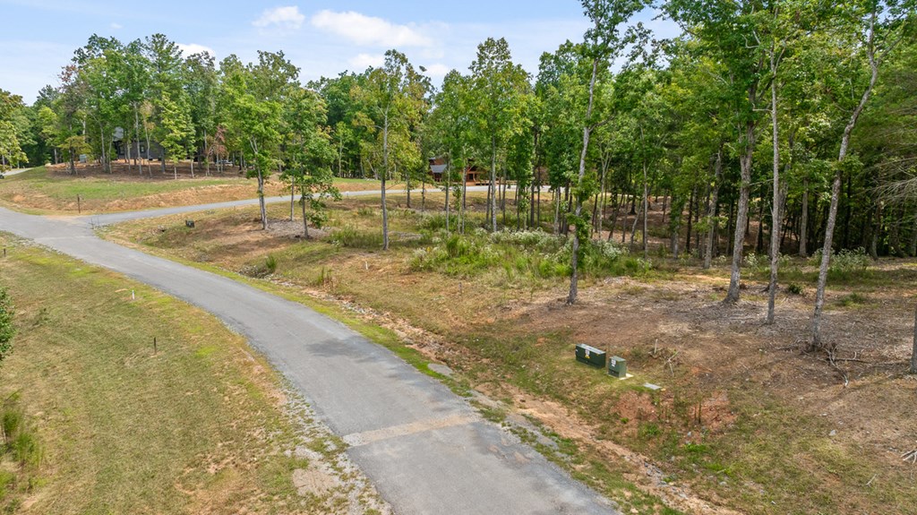 Lot 161 Ridge Drive Morganton, GA 30560 - Photo 10 of 31 Gallery Image 10
