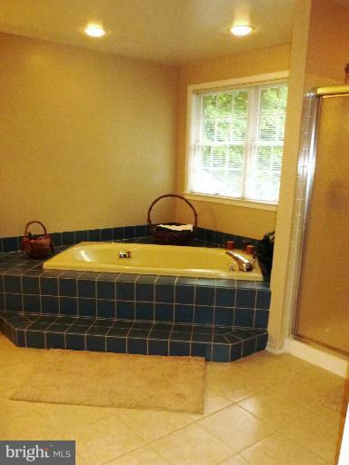 223 Delight Meadows Road Reisterstown, MD 21136 - Photo 18 of 29 Bath (Master)