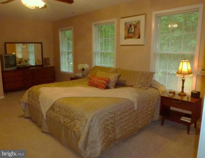 223 Delight Meadows Road Reisterstown, MD 21136 - Photo 21 of 29 Bedroom (Master)