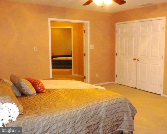 223 Delight Meadows Road Reisterstown, MD 21136 - Photo 22 of 29 Bedroom (Master)