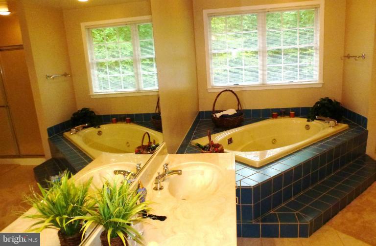 223 Delight Meadows Road Reisterstown, MD 21136 - Photo 23 of 29 Bath (Master)