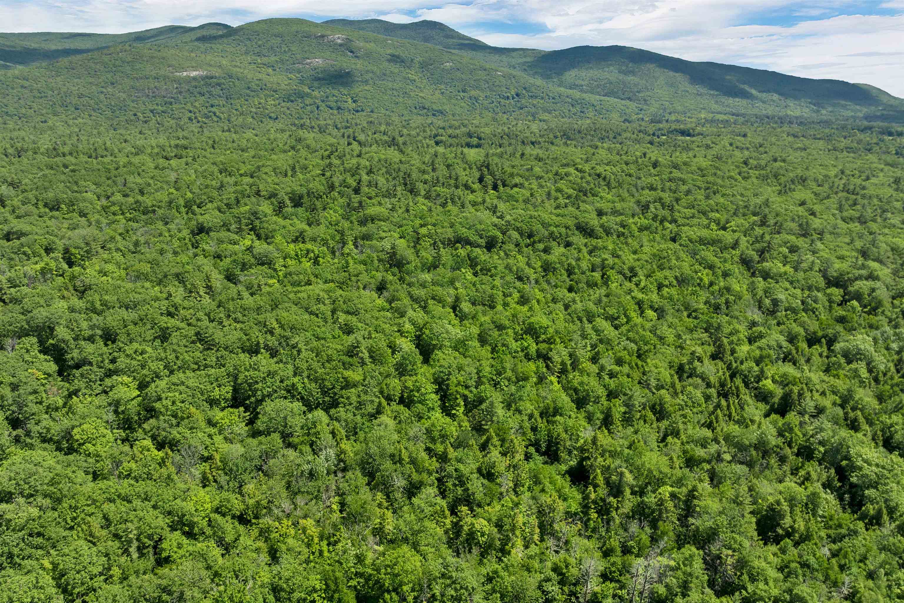 0 Caverly Road, Unit 2 Moultonborough, NH 03254 - Photo 12 of 26
